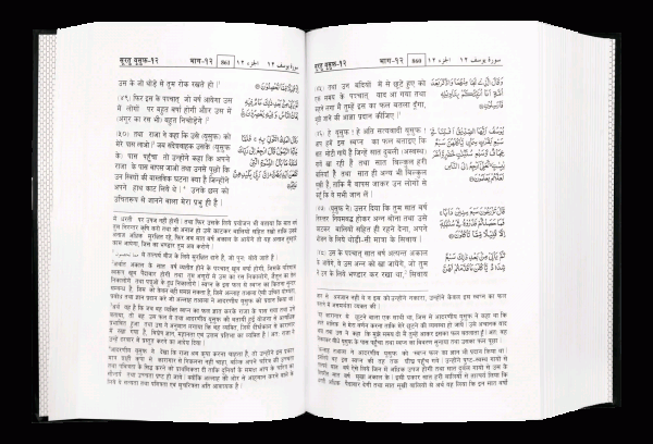 Darussalam Hindi Quran