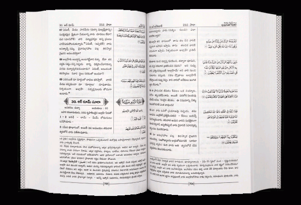 Telugu Quran